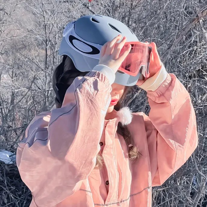 冒险小虎队：龙山之旅