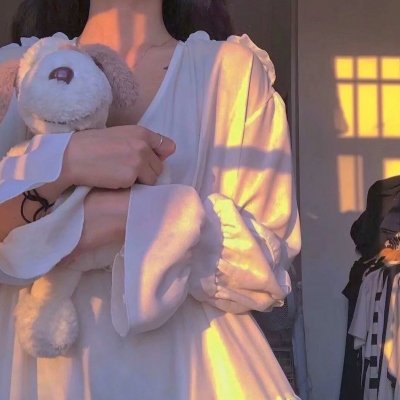 娜娜的玫瑰战争